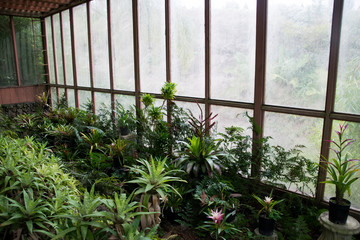 Maui Botanical Garden Greenhouse