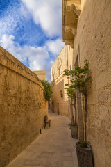 Mdina, Malta. The colorful street of the medieval city