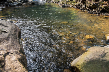 Natural streams have many fishes to live.