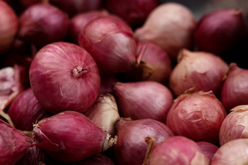 Harvested red onions in container