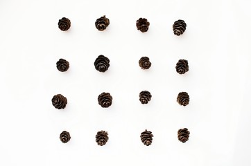Cones with fir. Isolated on white background. Winter composition.