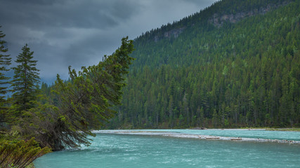 A cold glacial fed river in the forests of interior British Columbia, Canada