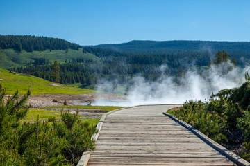 A steaming thermal area in Yellowstone National Park, USA