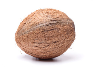 big coconut isolated on a white background