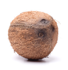 big coconut isolated on a white background