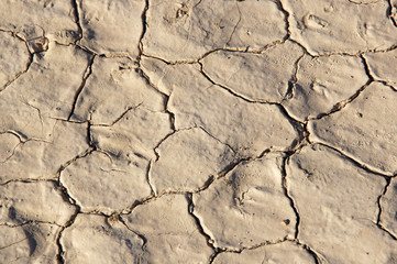 Drought ひび割れた大地,干ばつ
