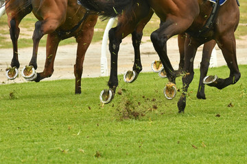 Horse racing action