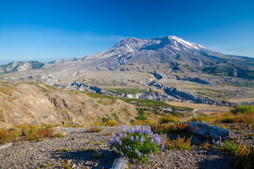The volcano Mount Saint Helens in Washington, USA