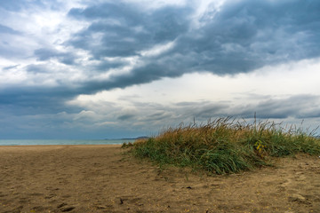 Winter sea landscape