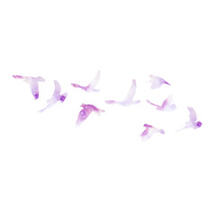 bird silhouette, dove flying, lilac flock of birds
