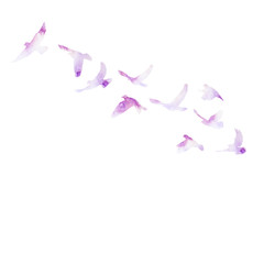 Obraz na płótnie Canvas vector, isolated, watercolor bird silhouette, dove flying, lilac flock of birds