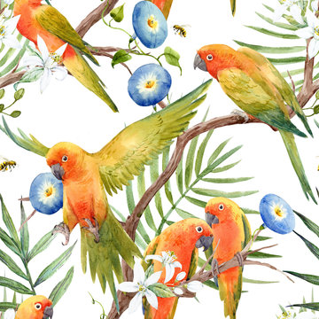 Watercolor tropical parrots pattern