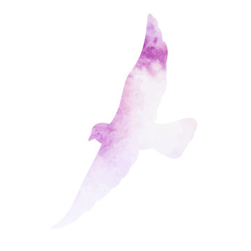 watercolor bird silhouette, dove flying