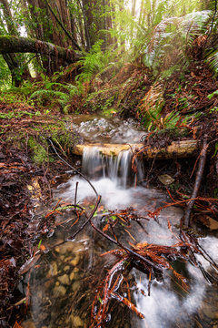 A Small Waterfall in the Mountains of California