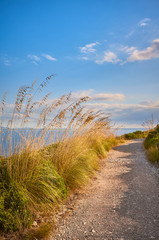 Scenic coastal trail path at sunset.