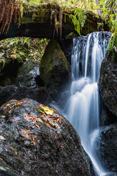A Small Waterfall in the Mountains of California