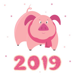 Illustration on the theme of new year 2019 with cute pig