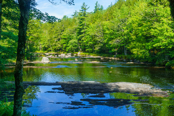 Mersey river, in Kejimkujik National Park