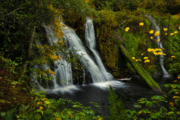 Beaver Creek Falls near Forks, Washington