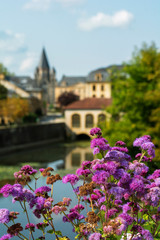 Fototapeta na wymiar Beautiful pink flowers near the historical center of Metz in France in the summer day