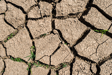 Cracked soil
