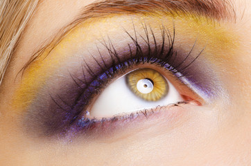Close-up shot of female eye make-up