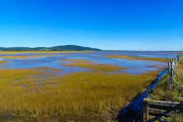 Marshland view in Hopewell Hill, New Brunswick