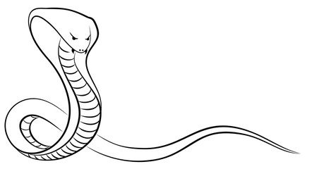 Sketch of a snake. 
