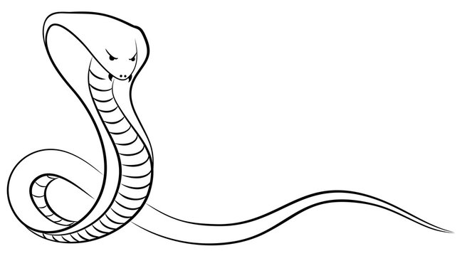 Sketch of a snake. 