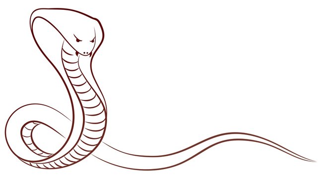 Sketch of a snake. 