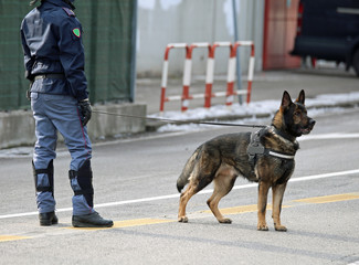 police dog of the Italian police during a soccer game