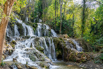 waterfall in forest