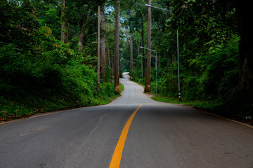 Driving Forest Roads. Beautiful Road for passsing to ChiangDao Mountain, ChiangMai, Thailand.