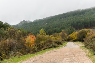 Autumn colors in the leaves of the trees in La Pedriza, in the Regional Park of the Manzanares of Madrid