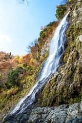 Fototapeta na wymiar 兵庫県・氷ノ山、天滝の景色