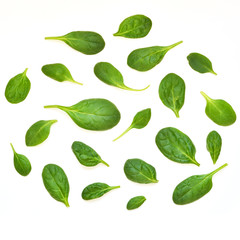 Spinach leaves. Fresh Green spinach isolated on a white background