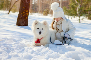 winter walk with a Samoyed dog in a snow-covered park. A girl plays with her pet. White dog
