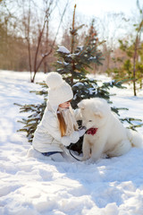 A girl feeds a shaggy Samoyed dog in winter outside in the snow. Treats for dogs, walk in the fresh air with a pet.