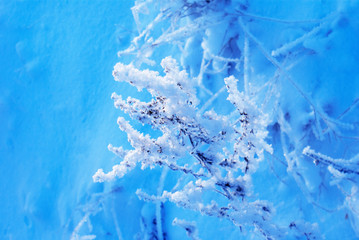 abstract snow winter nature
