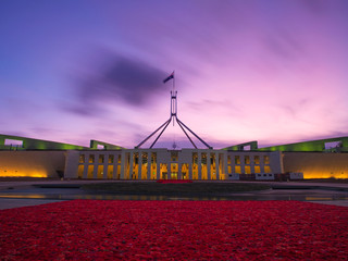 Australian Parliament House forecourt lined with 270,000 handmade poppies to mark 100 years since...