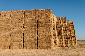 Straw bales at Ribera de Duero fields