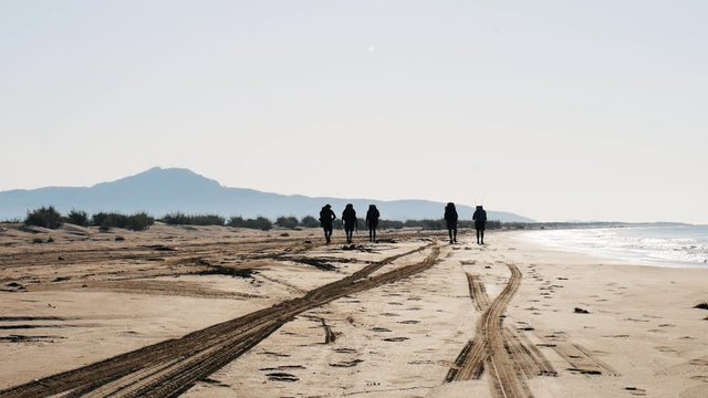Long Road Down The Beach 2