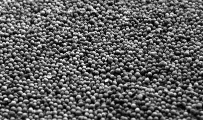 Mustard seeds surface in black and white.