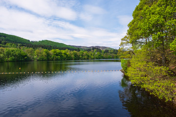 Fototapeta premium Der gestaute Fluss Tummel bei Pitlochry in den schottischen Highlands