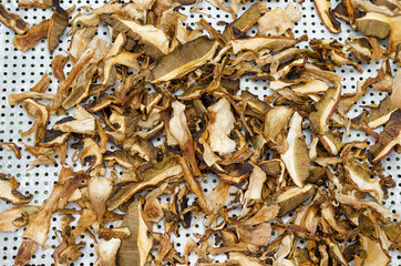 sliced mushrooms are dried on drushlak on the street