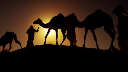 Middle Eastern male camel owners in desert convoy Arabia