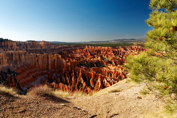 Bryce Canyon national park, Utah, USA - 233719429