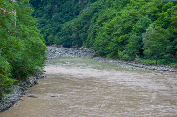 River, mountains and forests in Georgia. The rapid flow of the river between the trees in the...