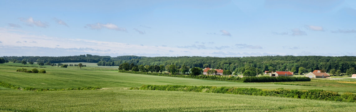 Danish Countryside In The Summer