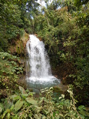 Obraz premium Wasserfall